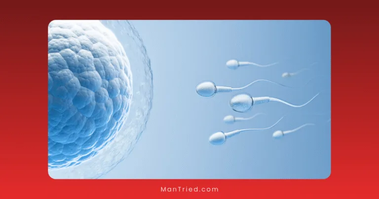 Digital illustration showing several sperm cells swimming toward an egg cell on a blue background, representing fertilization and highlighting the connection between TRT and fertility.