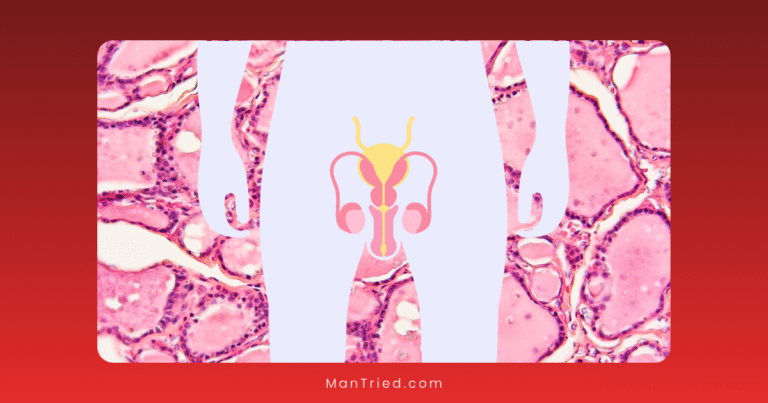 The Science of Tissue Regeneration in Male Sexual Health 6 tissue regeneration in male sexual health