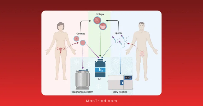 Diagram showing fertility preservation: oocytes from a woman and sperm from a man stored by freezing methods. Oocytes and sperm can form an embryo, also preserved in liquid nitrogen using vapor phase system or slow-freezing.