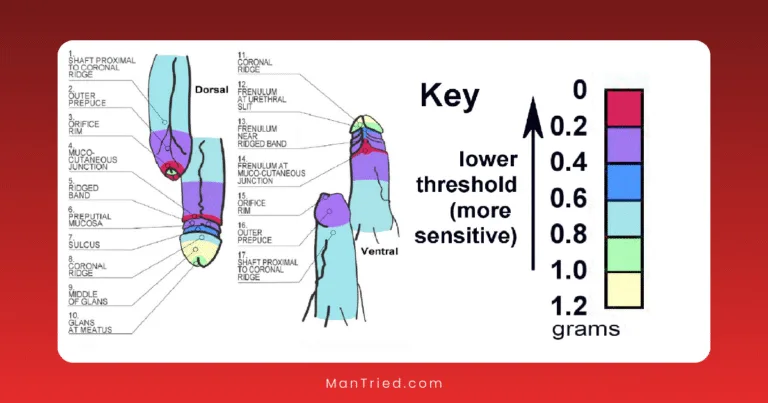 Diagram of penile sensitivity, showing areas from 0 (most sensitive) to 1.2 grams (least sensitive); anatomical regions are labeled on both dorsal and ventral views.